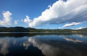 상속포기와 상속재산협의분할 14 상속포기와 상속재산협의분할