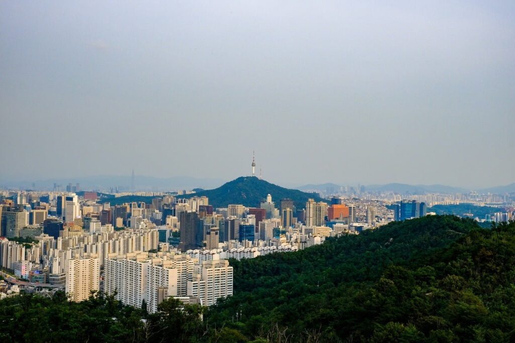대표자 이중국적 증빙 2 대표자 이중국적 증빙