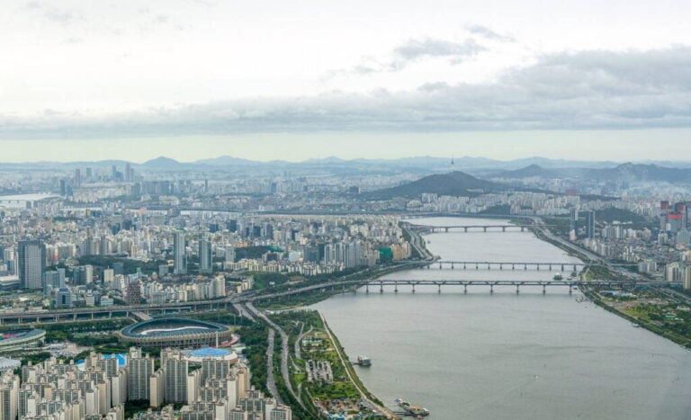 국적상실신고 하지않고 상속 위임