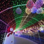 light festival, landscape, light