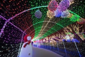 light festival, landscape, light