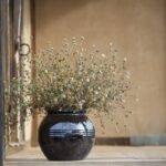 still life, only, oriental