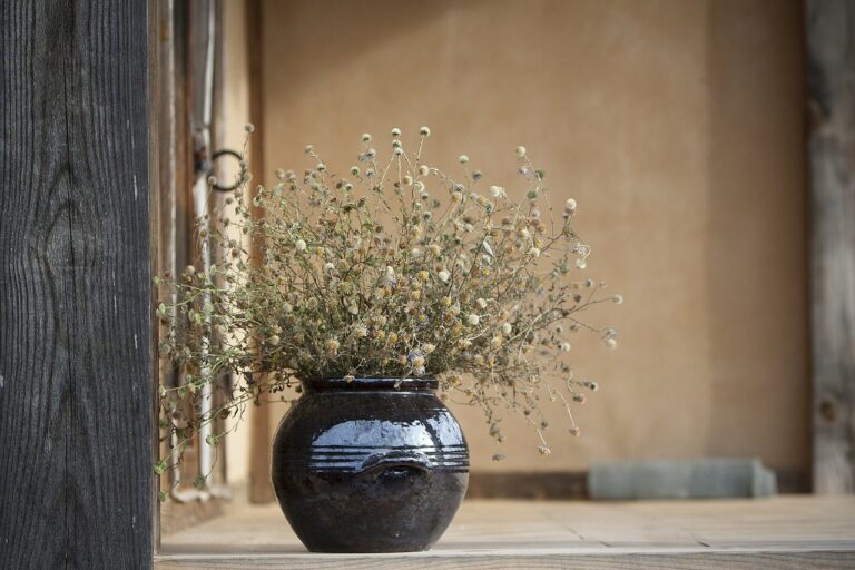 still life, only, oriental