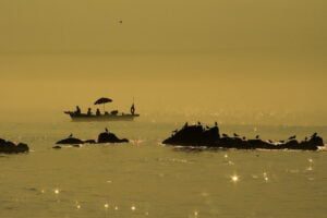 coast, island, fishing boat