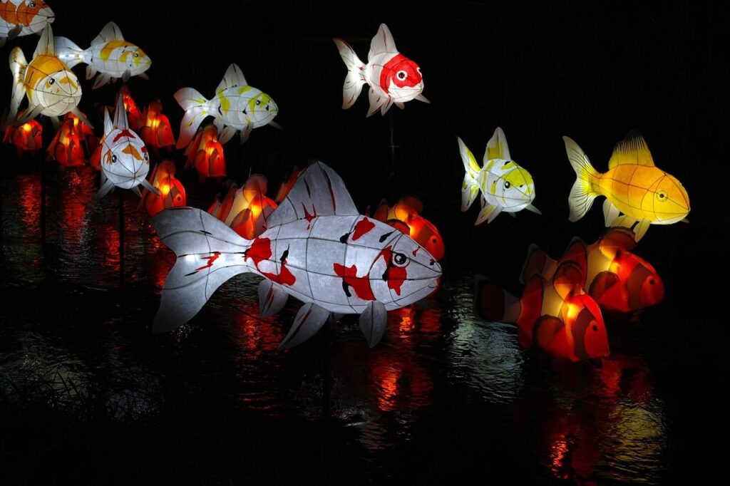 상속포기 문의 드립니다 2 flame, color, light