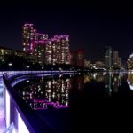 suwon, night view, source lake park