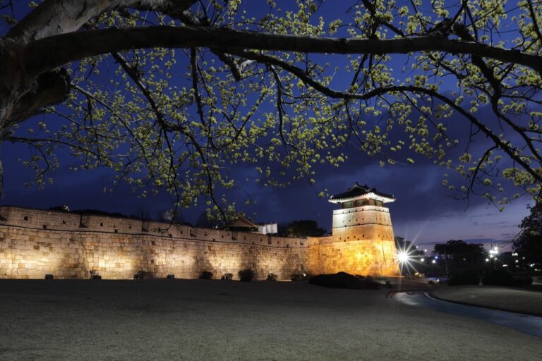 corn milk, magic hour, suwon hwaseong fortress