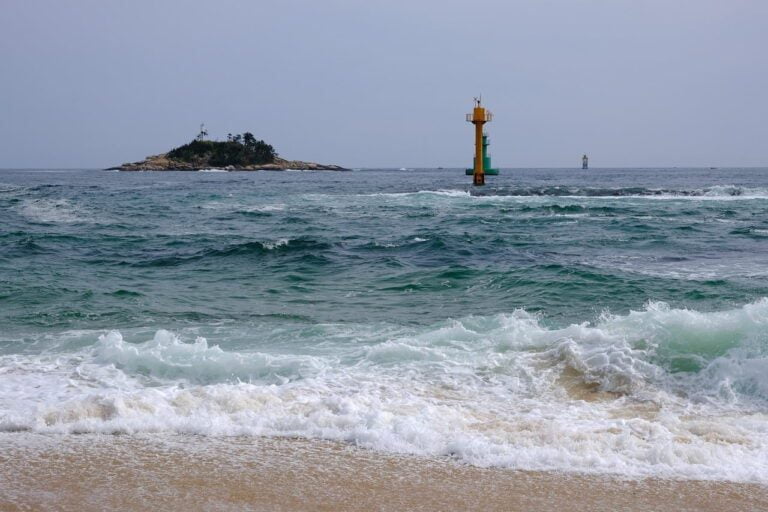 부당이득반환 창구소송 소장 작성 등 대행 일체를 맡기고자 합니다.