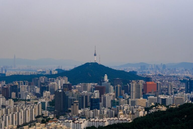 전부명령의 효력이 확정 후의 이자에도 미치는지